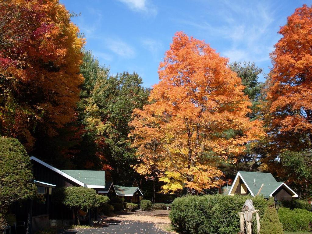 Amber Lantern Efficiency Cottage Lake George Exterior foto